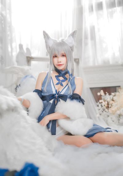 女士的法则电视剧全部剧集